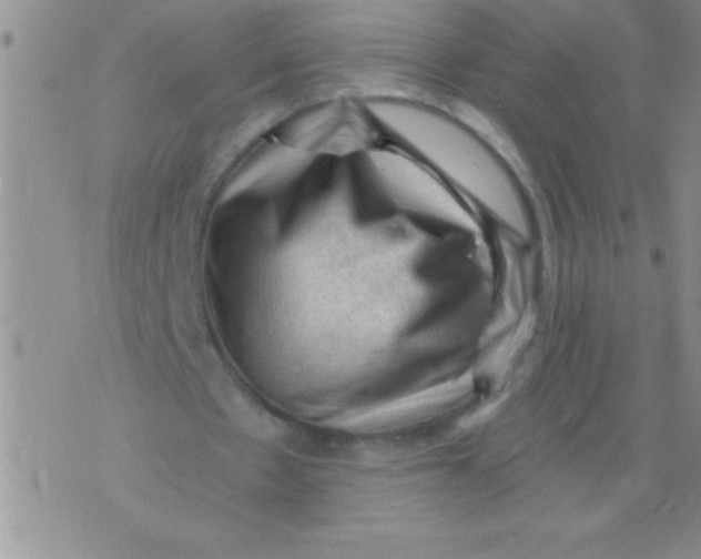 X0000076030481200610152051