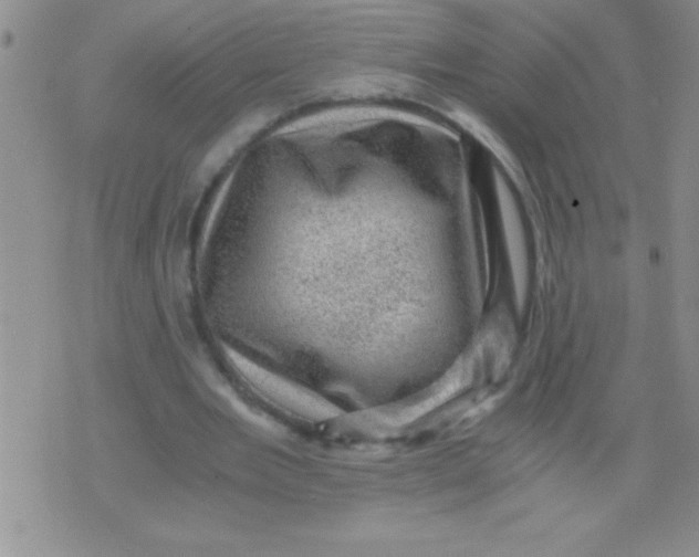 X0000076030485200610152051