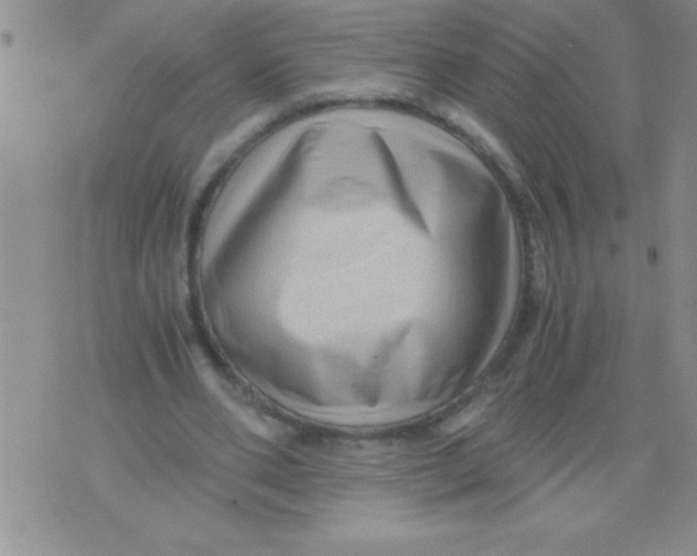 X0000076030486200610152051