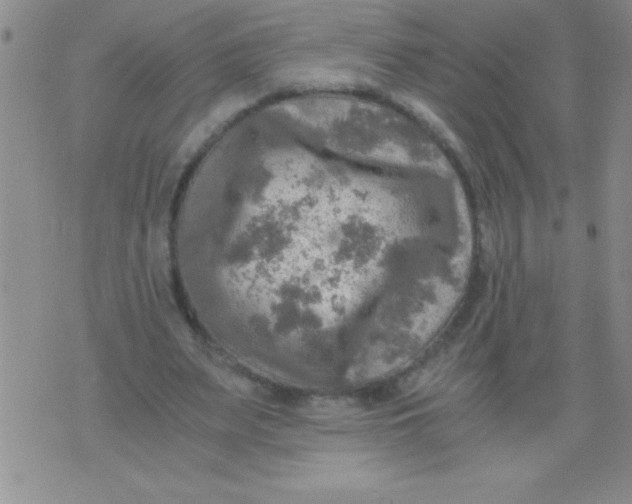 X0000076030487200610152051