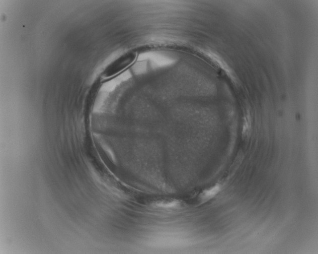 X0000076030488200610152051