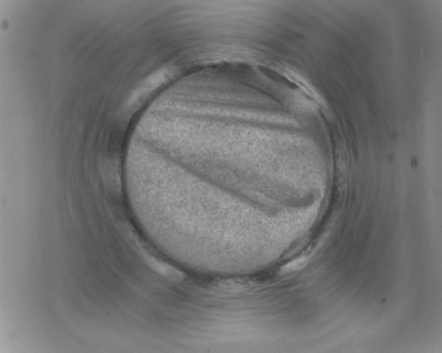 X0000076030489200610152051