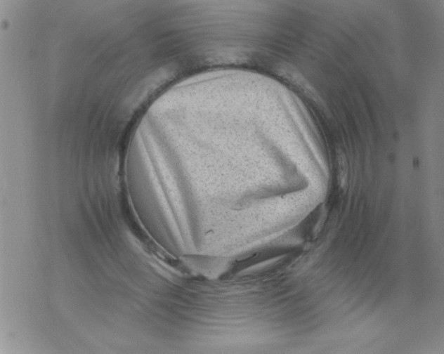 X0000076030490200610152051