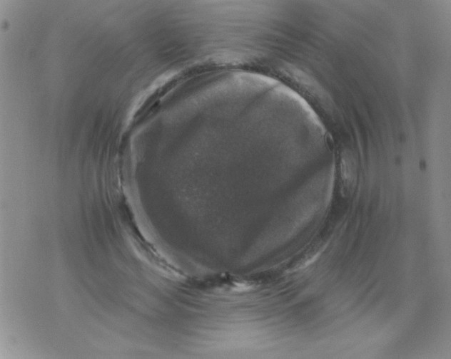 X0000076030492200610152051