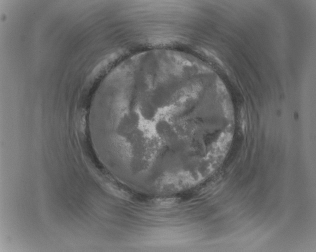 X0000076030495200610152051