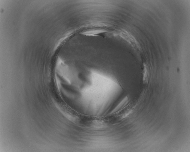 X0000076030496200610152051