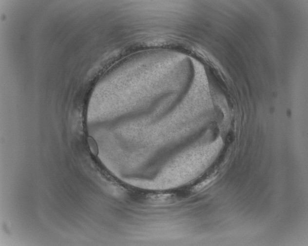 X0000076030497200610152051