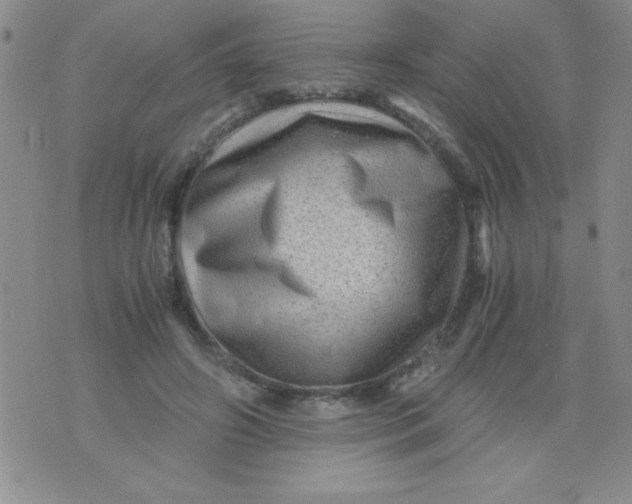 X0000076030498200610152051