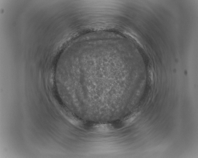 X0000076030499200610152051