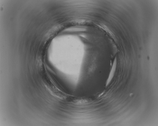 X0000076030500200610152051