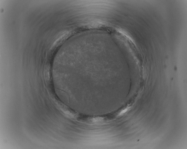 X0000076030501200610152051