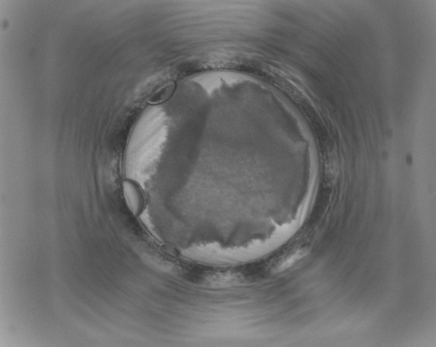 X0000076030503200610152051