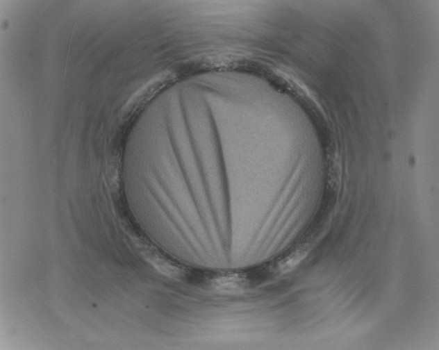 X0000076030505200610152051