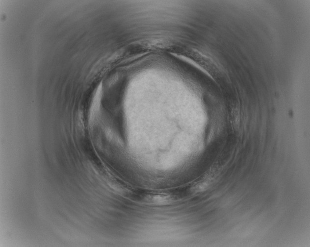 X0000076030506200610152050