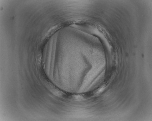 X0000076030509200610152050