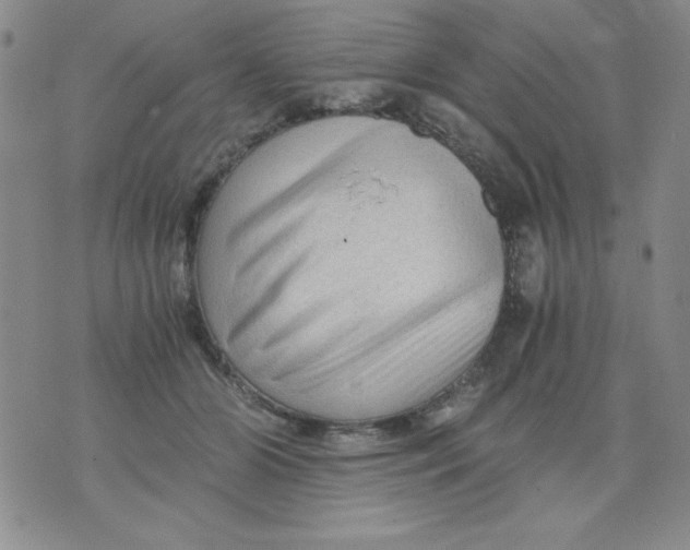 X0000076030510200610152050