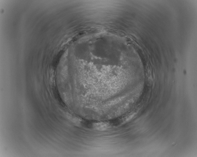 X0000076030511200610152050