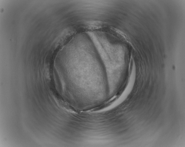 X0000076030512200610152050