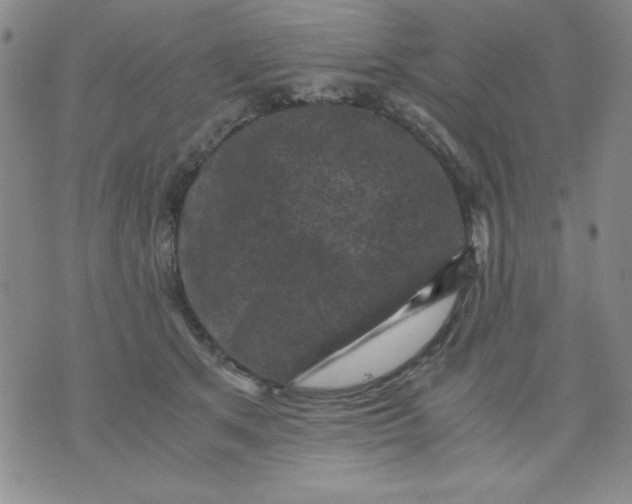 X0000076030513200610152050