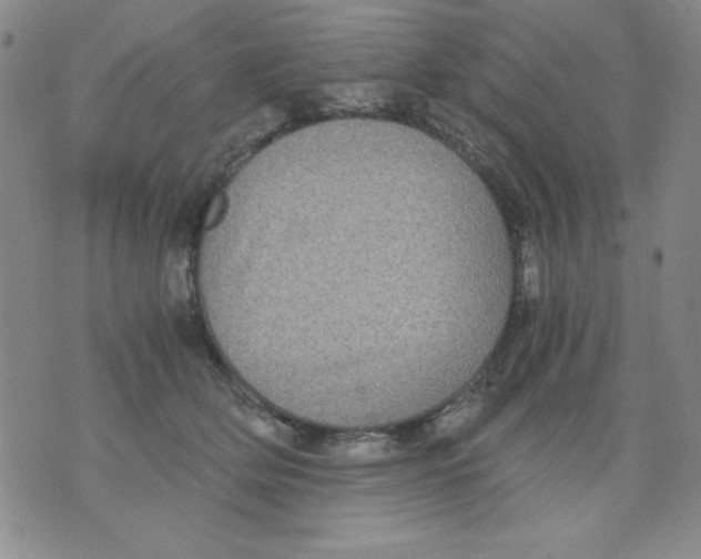 X0000076030514200610152050