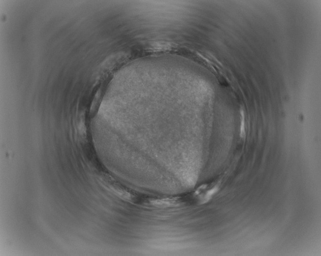 X0000076030516200610152050