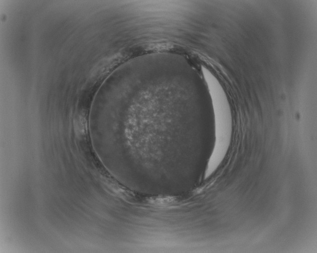 X0000076030517200610152050