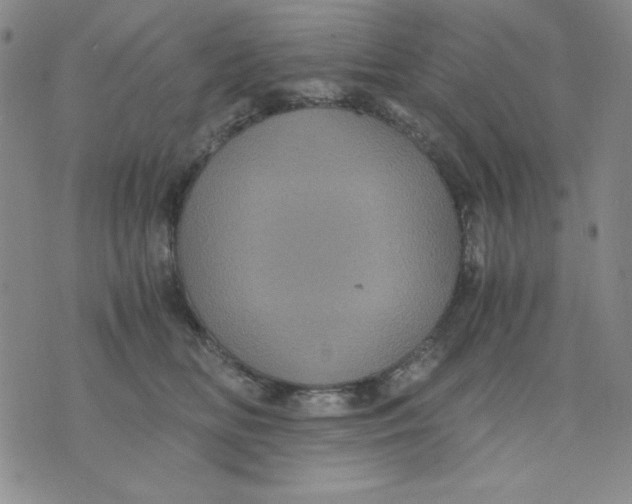 X0000076030518200610152050