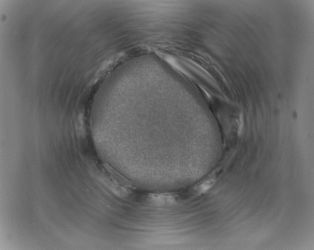 X0000076030520200610152050