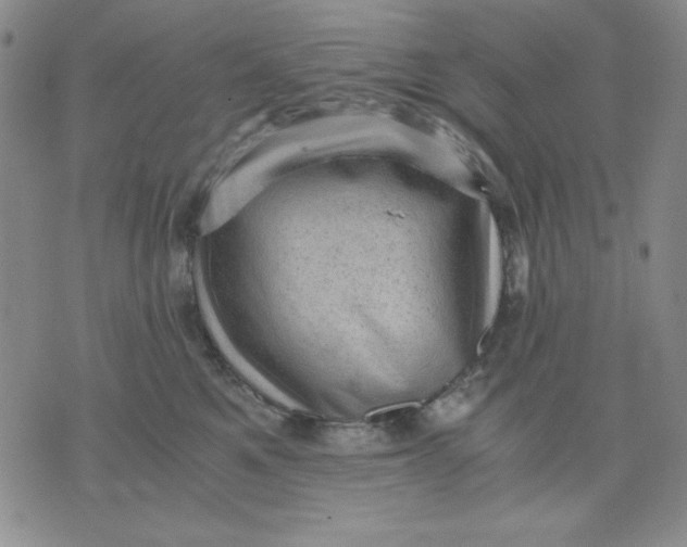 X0000076030521200610152050