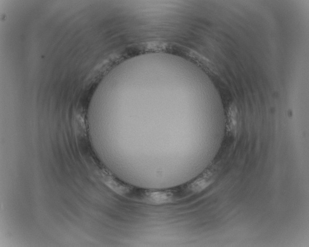 X0000076030522200610152050