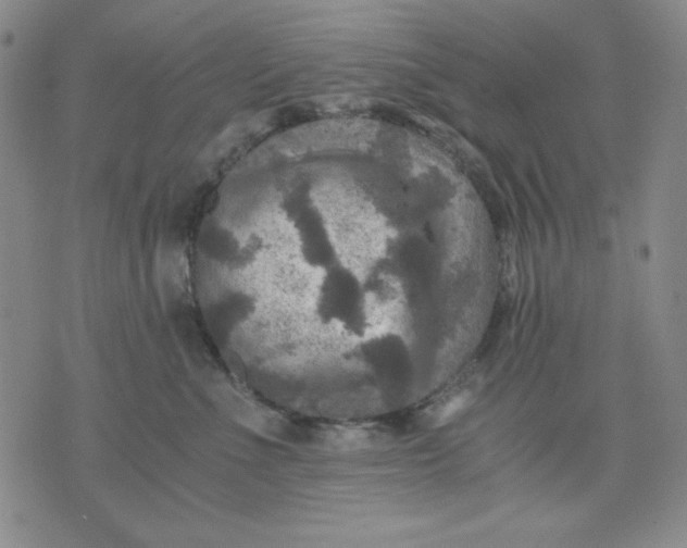 X0000076030523200610152050