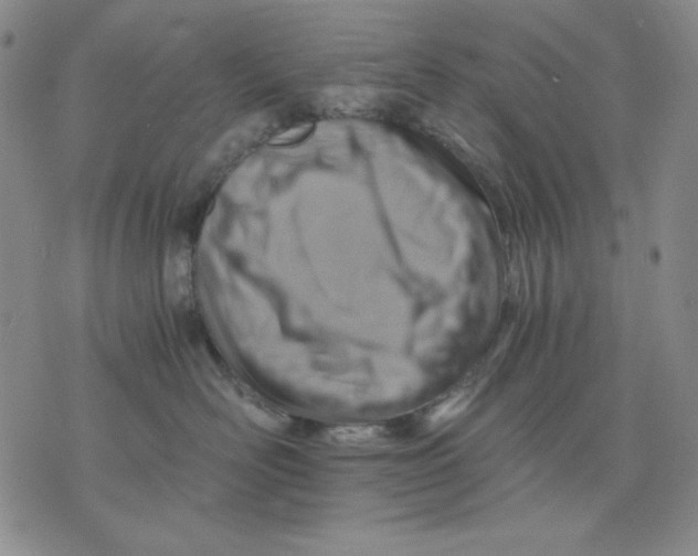 X0000076030526200610152050