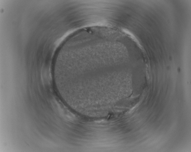 X0000076030532200610152049