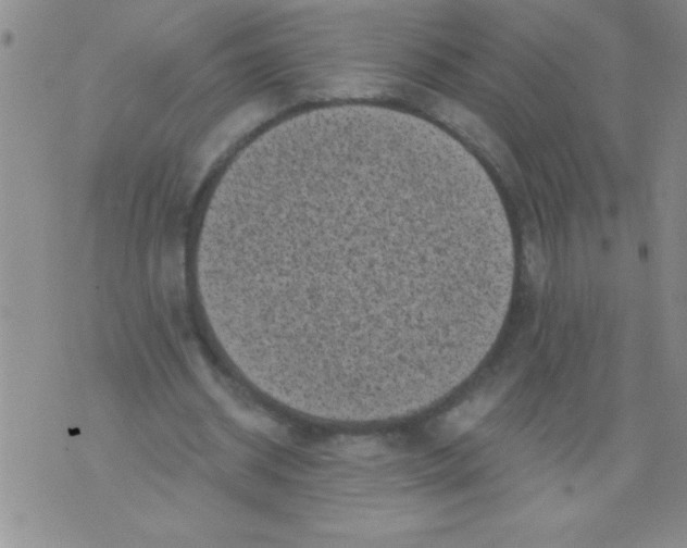 X0000076030534200610152049