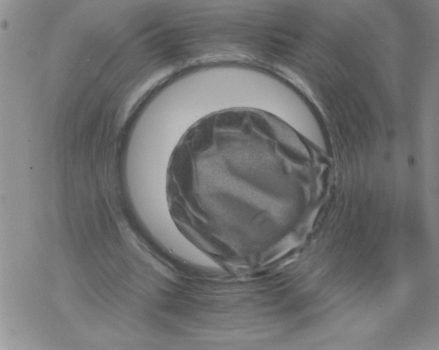 X0000076030535200610152049