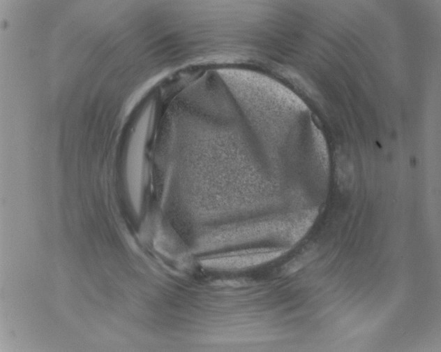 X0000076030536200610152049