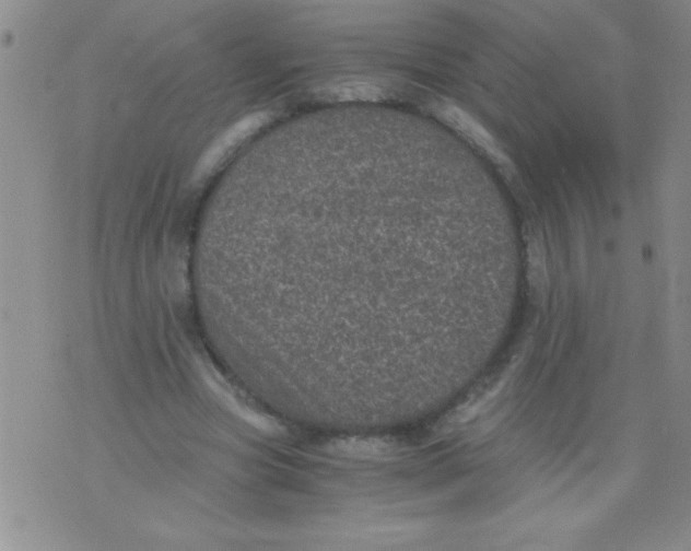 X0000076030537200610152049