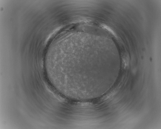 X0000076030539200610152050