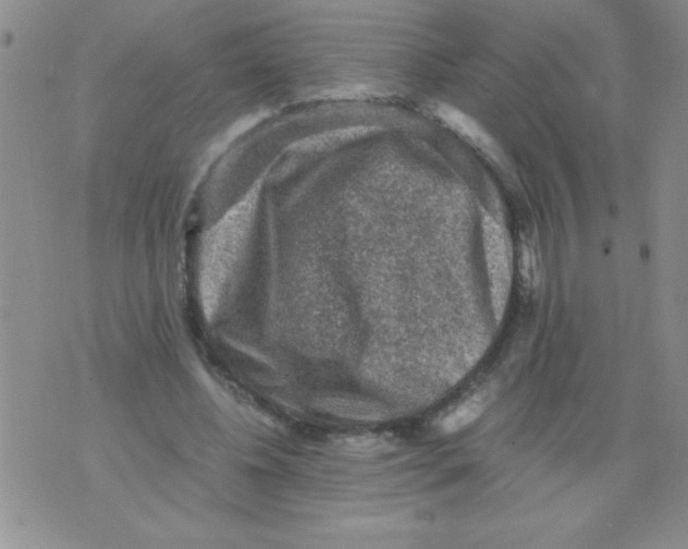 X0000076030540200610152050