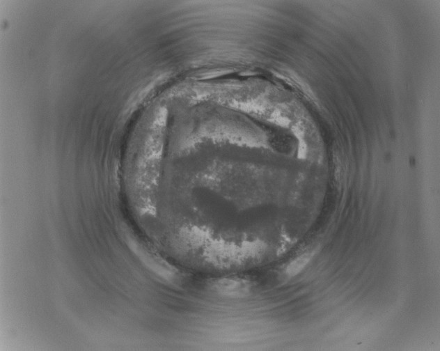 X0000076030542200610152050