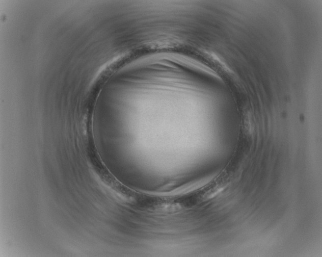 X0000076030543200610152050