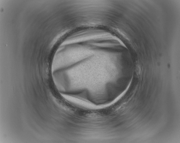 X0000076030544200610152050