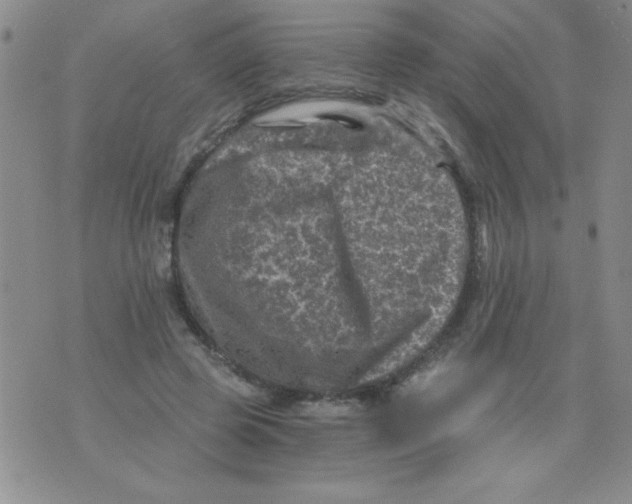 X0000076030545200610152050