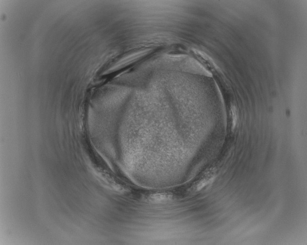 X0000076030546200610152050