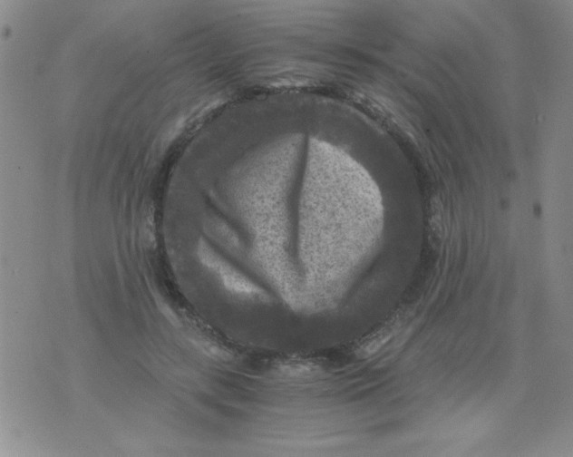 X0000076030547200610152050