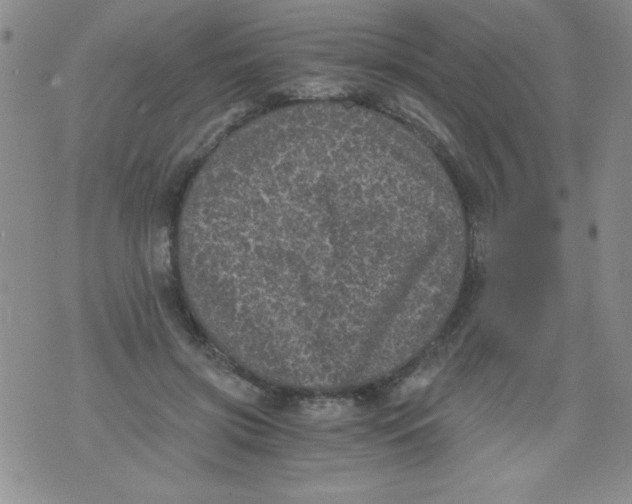 X0000076030549200610152050