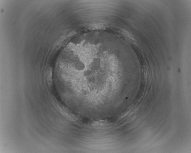 X0000076030550200610152050