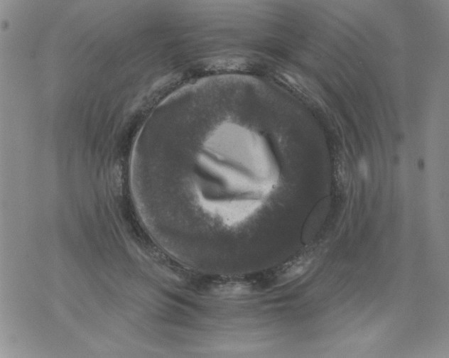 X0000076030551200610152050