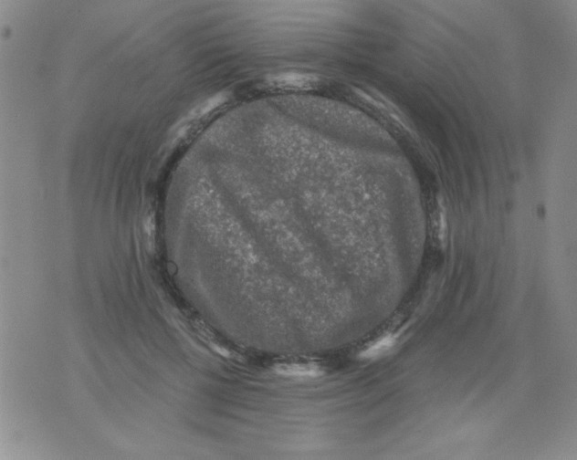 X0000076030552200610152050