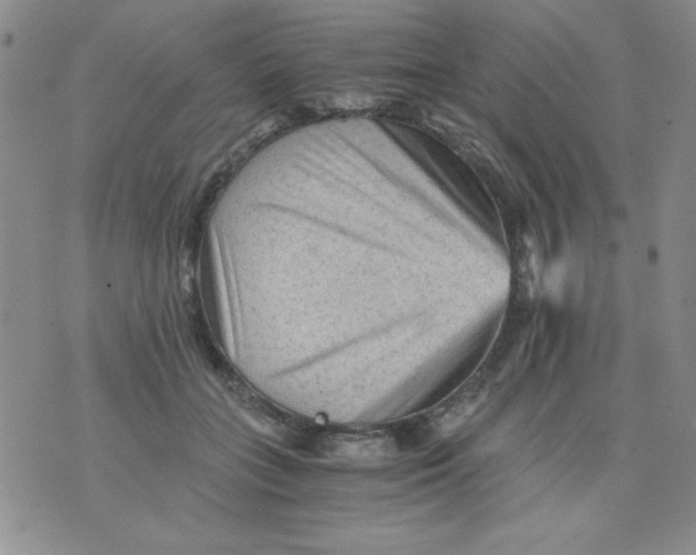 X0000076030555200610152050